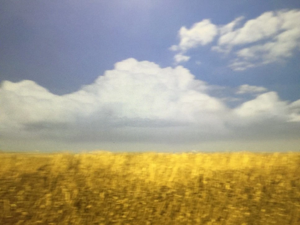 attachImage_4240452933.jpeg?type=w966