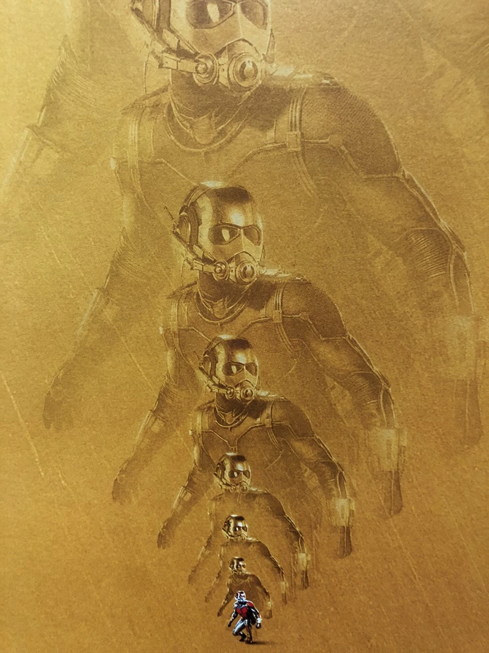 IMG_5810.JPG?type=w966