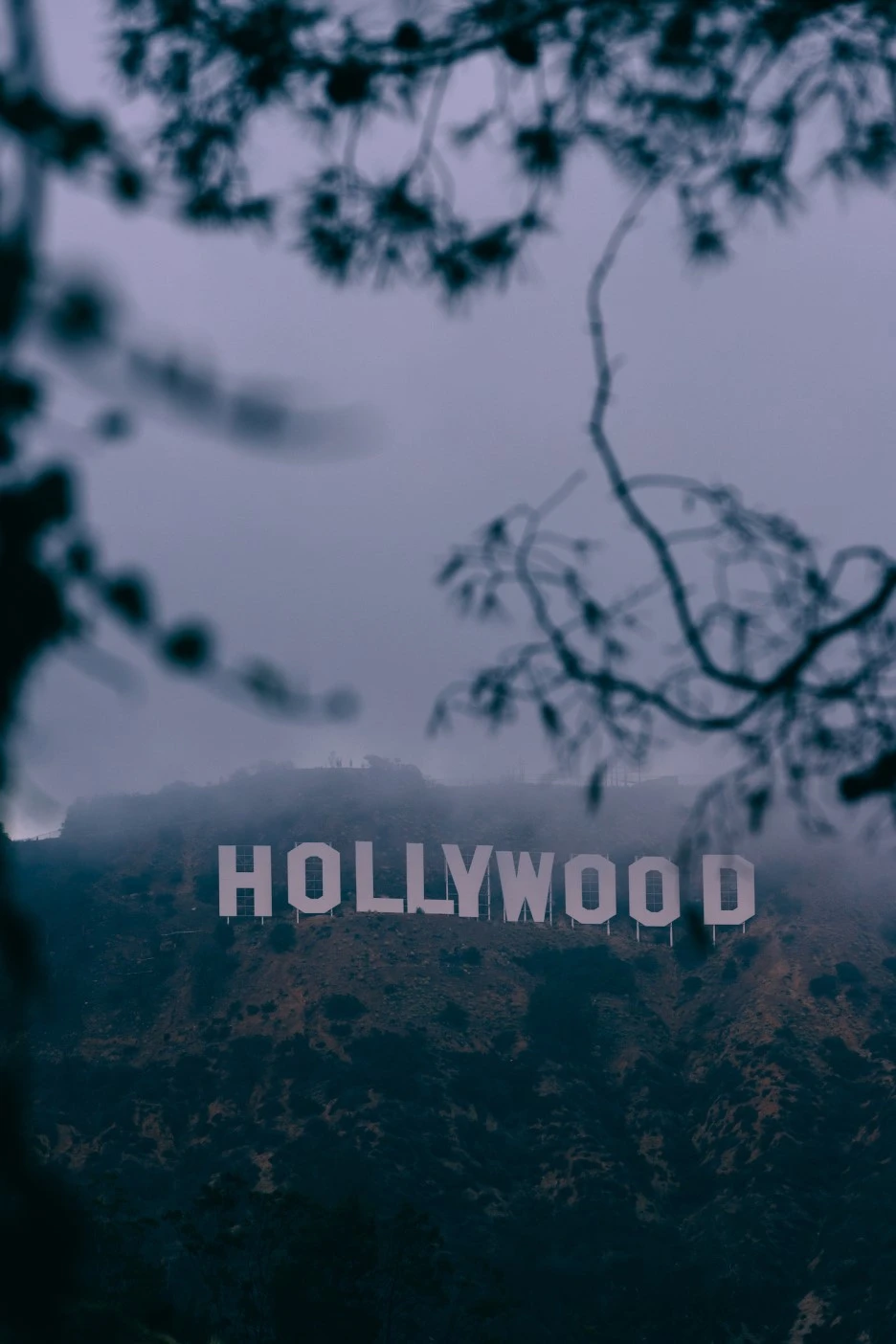 P20161210_022529000_5A474C6F-6920-4DF8-AC38-8F6C52890A06.JPG?type=w1