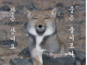 P20160413_214136000_34EE61FD-E62A-47E9-A62D-2048C29212EC.JPG?type=w966