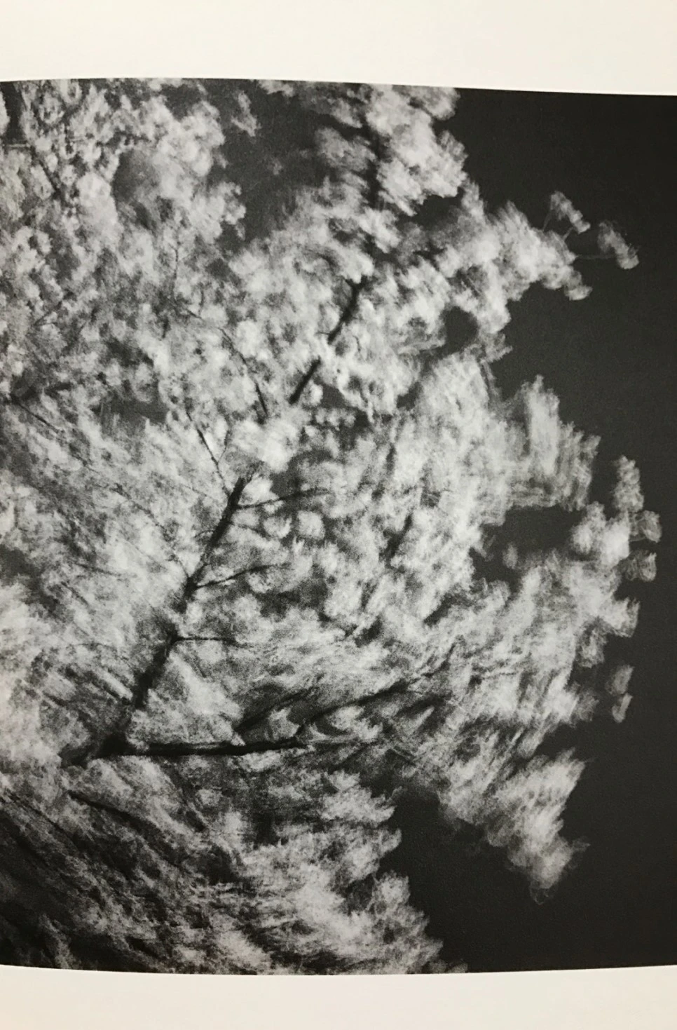 se3_image_880941044.jpg?type=w966