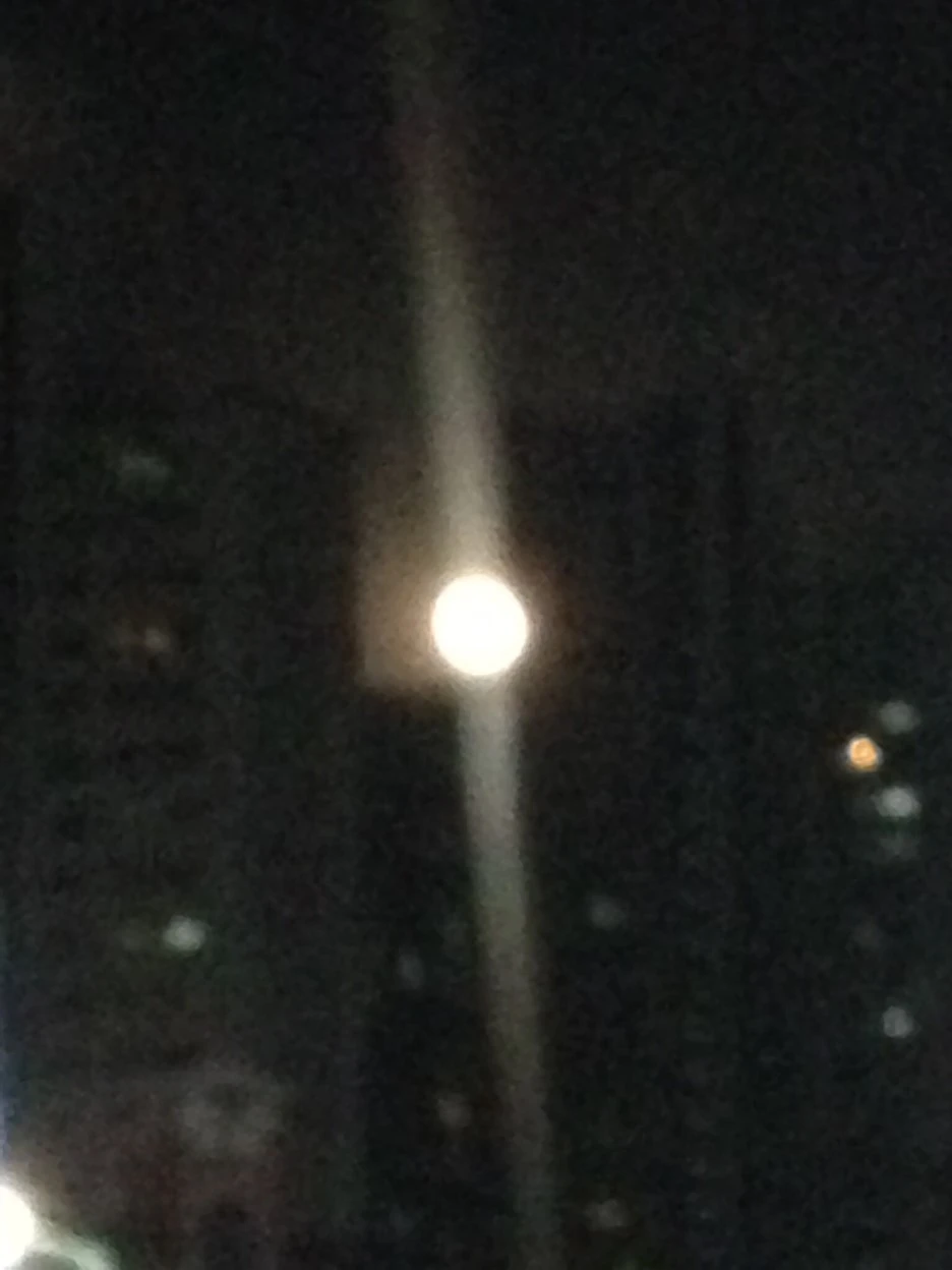 NaverBlog_20150531_020728_37.jpg?type=w1