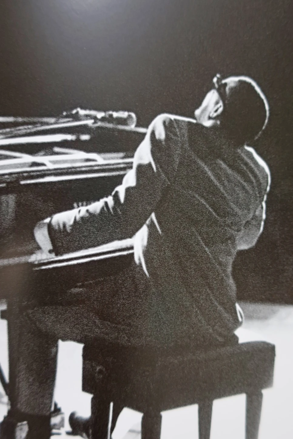 IMG_1172.JPG?type=w966