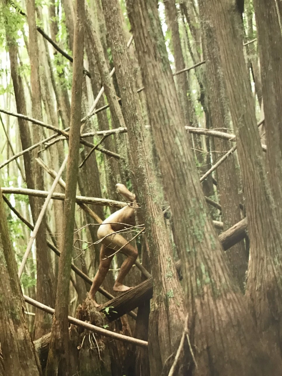 IMG_5927.JPG?type=w966