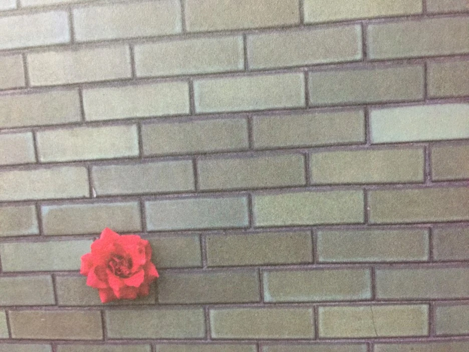 IMG_3400.JPG?type=w1