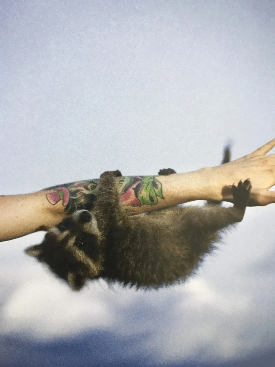 IMG_5923.JPG?type=w966