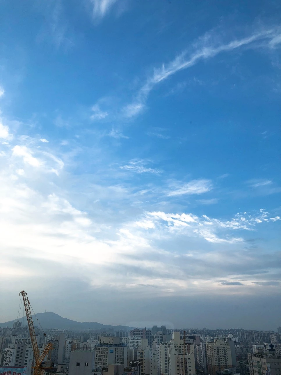 IMG_9830.JPG?type=w966