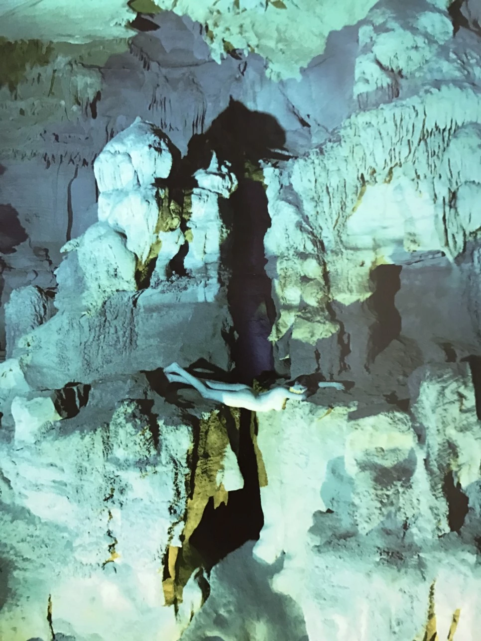 IMG_4003.JPG?type=w966