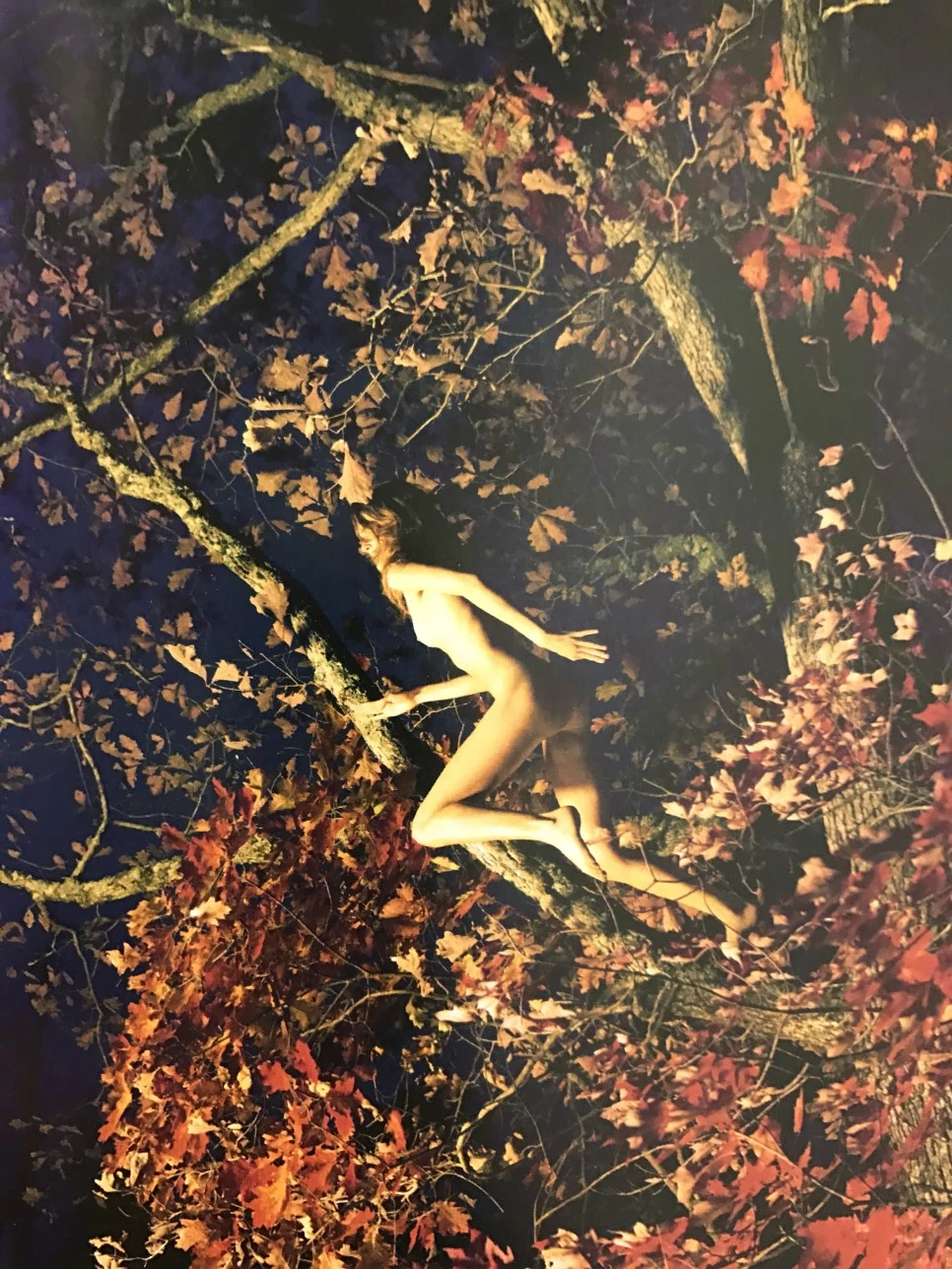 IMG_4016.JPG?type=w966