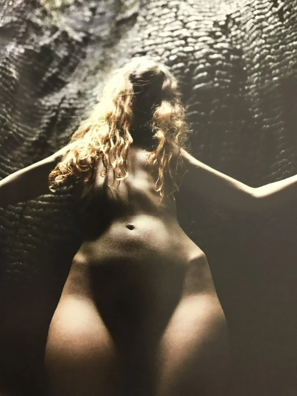 IMG_5921.JPG?type=w966