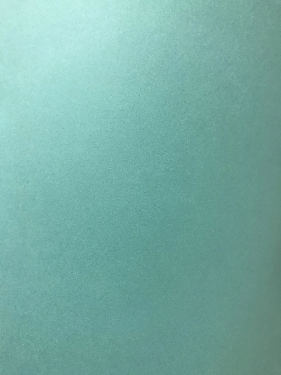 IMG_5415.JPG?type=w966