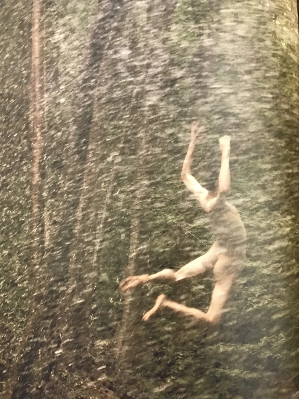 IMG_3985.JPG?type=w966