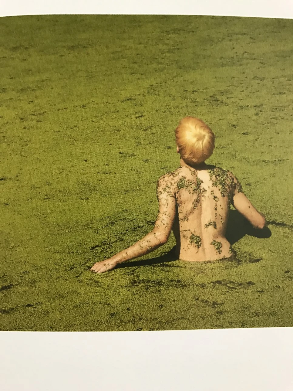 IMG_5908.JPG?type=w966