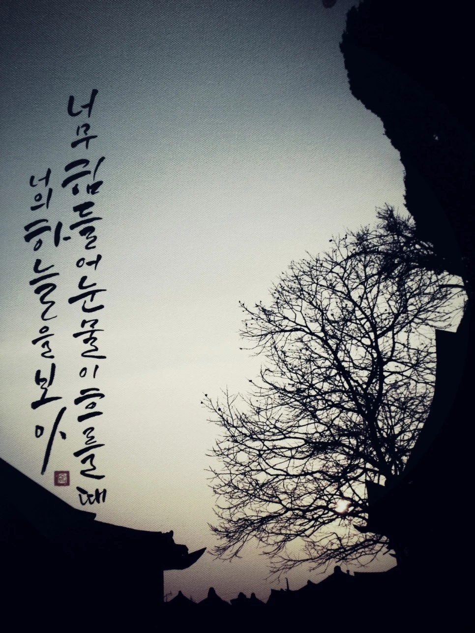 IMG_2082.JPG?type=w966