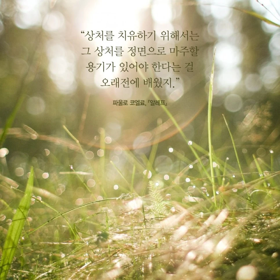 %EC%95%8C%EB%A0%88%ED%94%84.JPG?type=w966