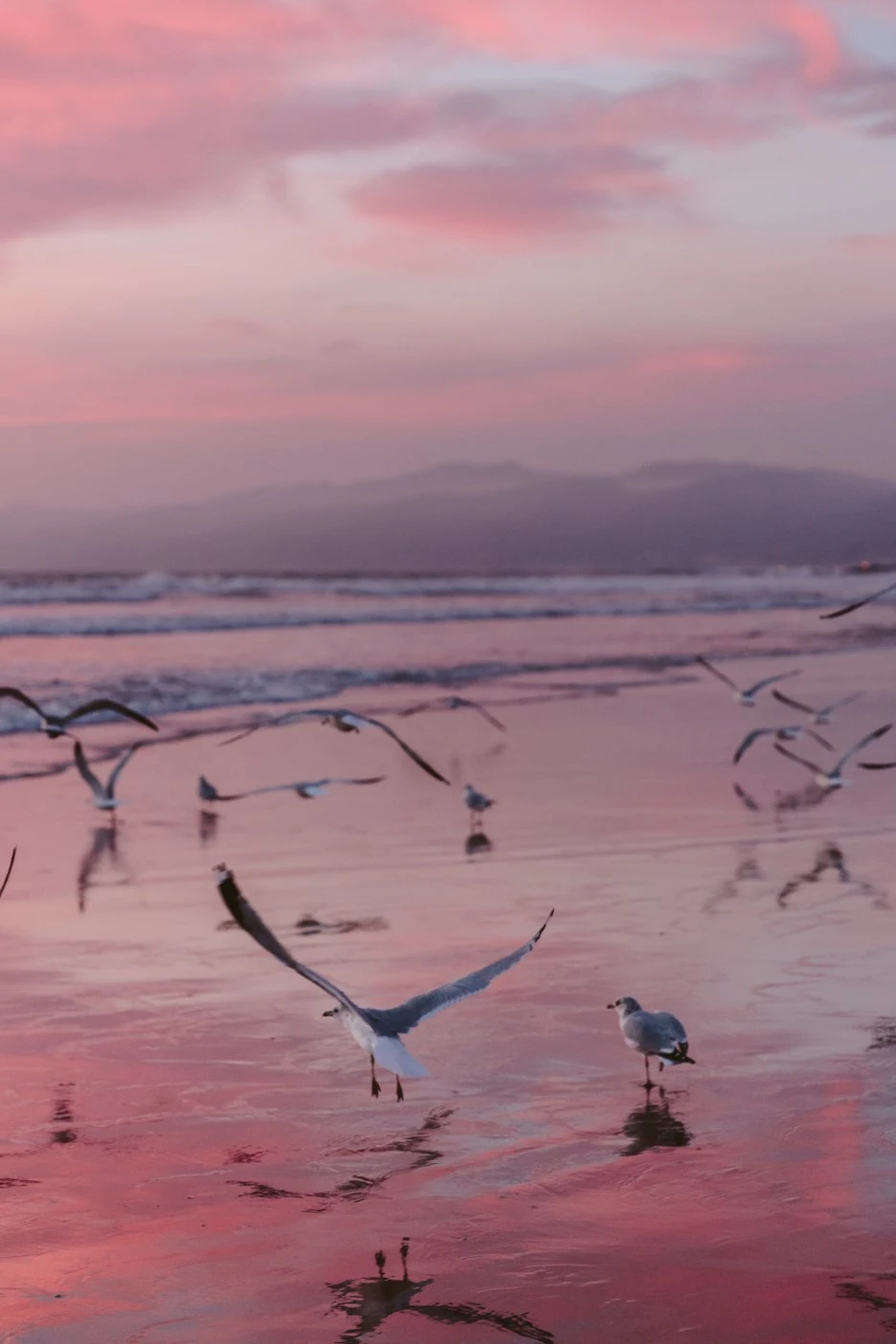 P20161210_022505000_AFCABF39-032F-427E-96C8-2165781DE4A2.JPG?type=w1