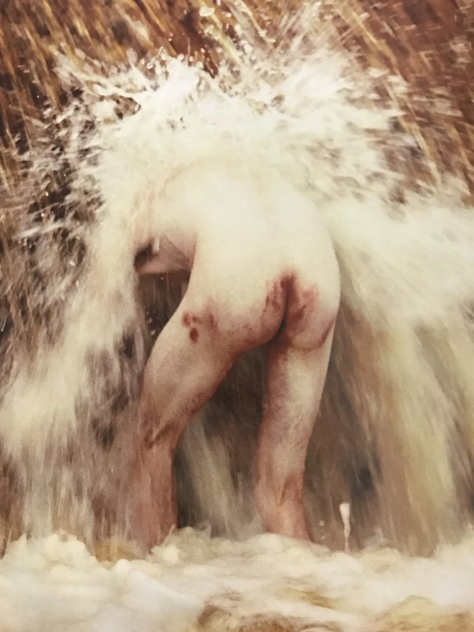 IMG_3992.JPG?type=w966