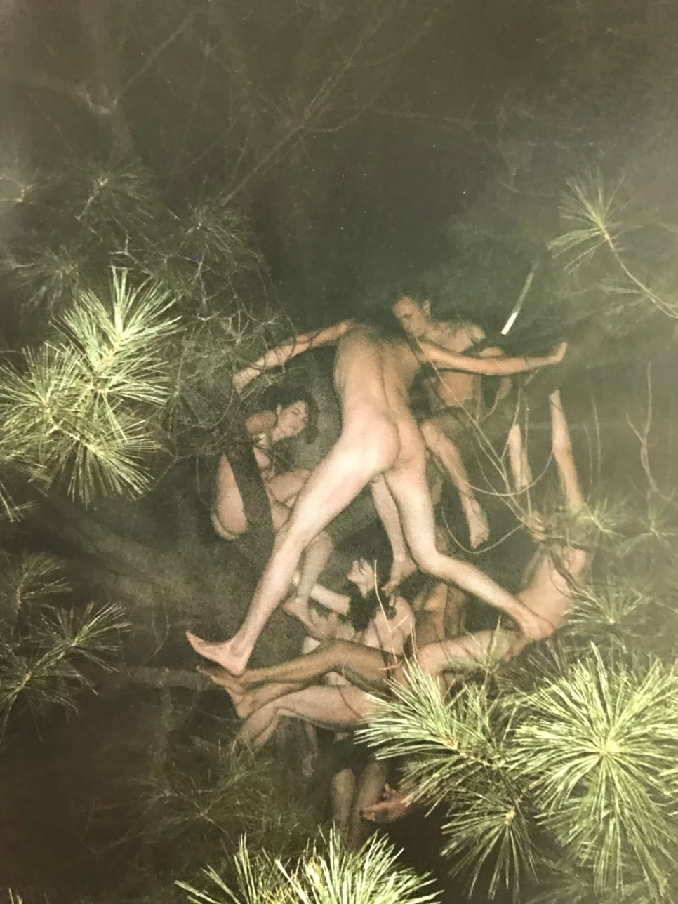 IMG_4035.JPG?type=w966