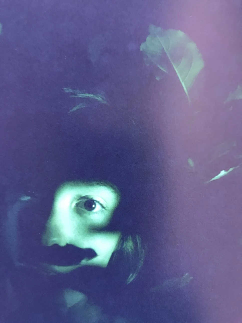 IMG_4017.JPG?type=w966