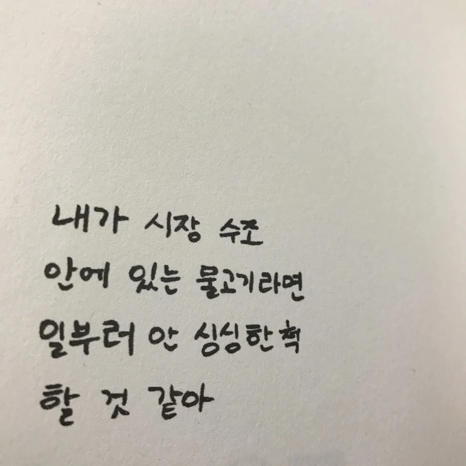 P20170201_232533889_E2F4091A-999A-48BE-994A-22CB86CD2203.JPG?type=w1