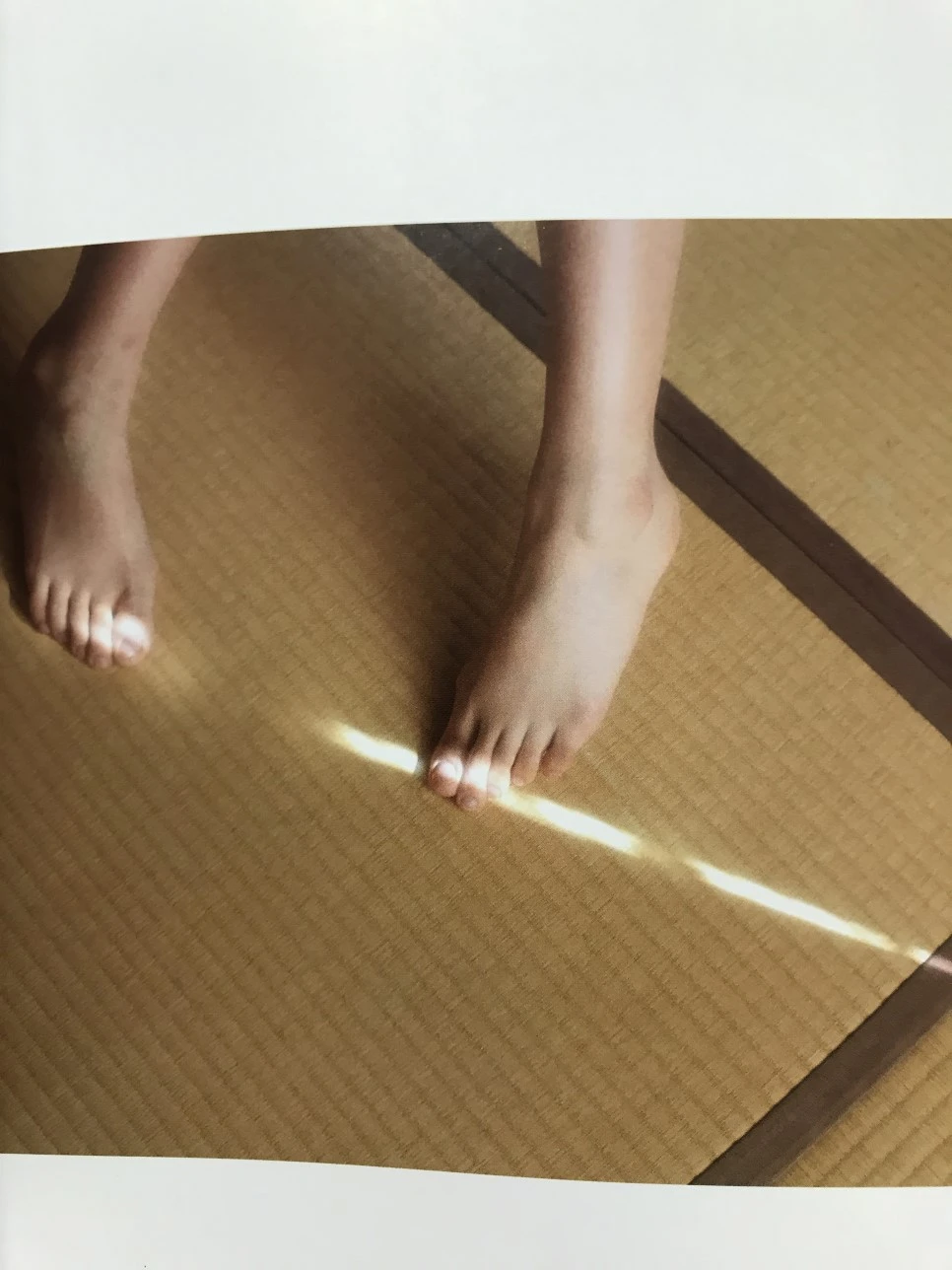 IMG_1546.JPG?type=w966