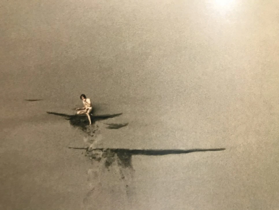 IMG_3973.JPG?type=w966