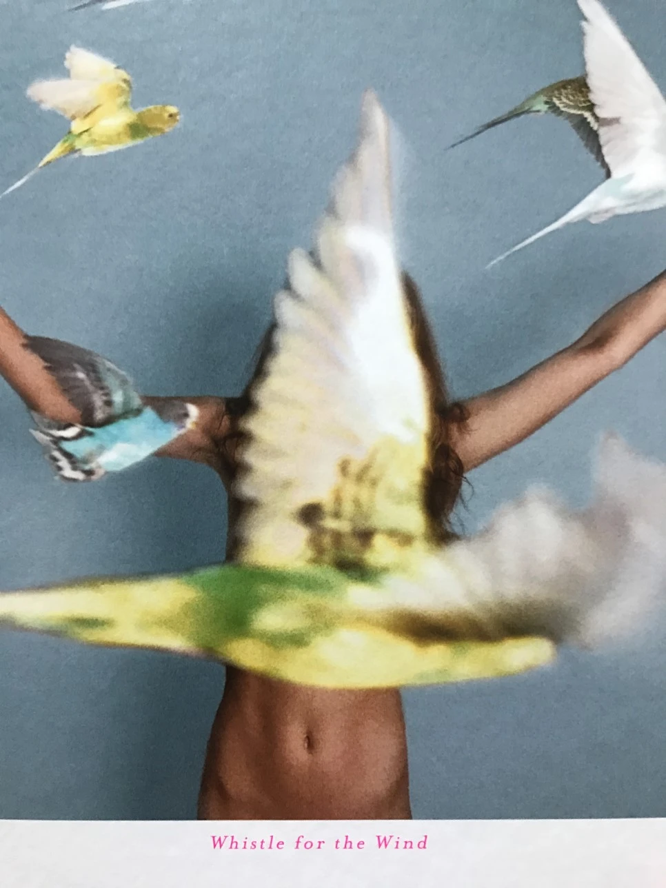 IMG_4044.JPG?type=w966