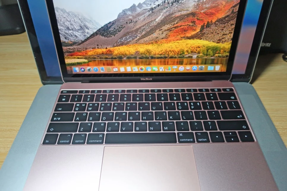 IMG_2910.JPG?type=w966