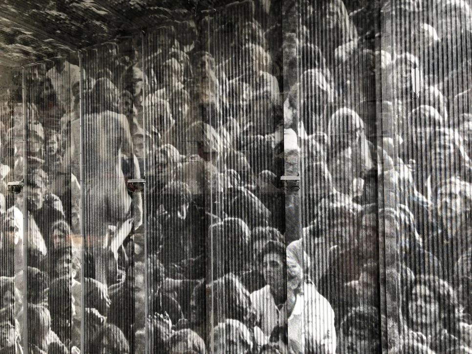 IMG_6308.JPG?type=w966