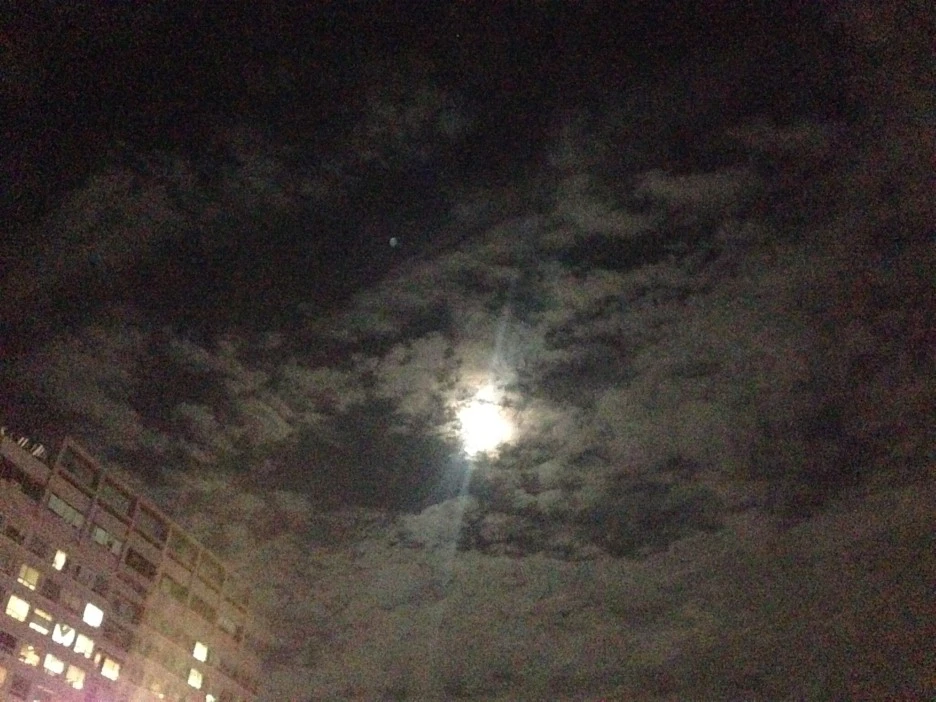 NaverBlog_20150531_020724_33.jpg?type=w1