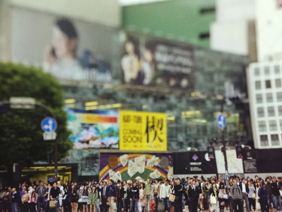 attachImage_382600976.jpeg?type=w966