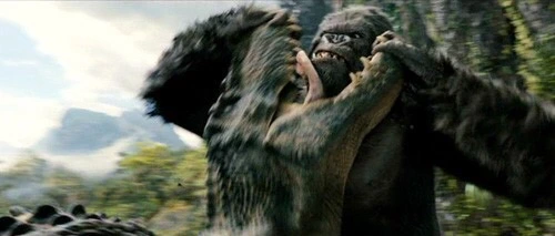 IMG_8844.JPG?type=w966