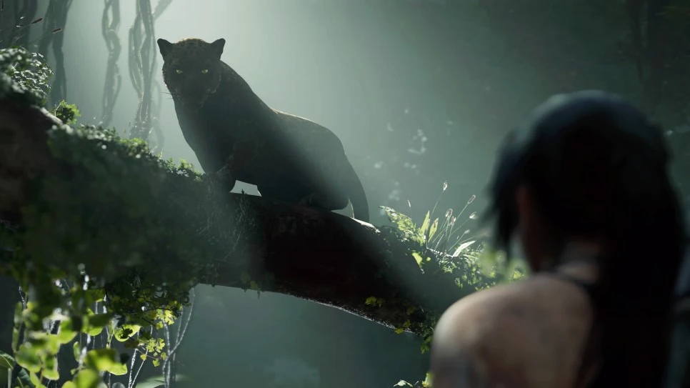 3472385980014837289_20180917094152002.JPG?type=w966