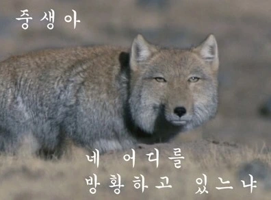 P20160413_214136000_3706A0D9-E359-4D1E-8624-1F1ABF758E32.JPG?type=w966