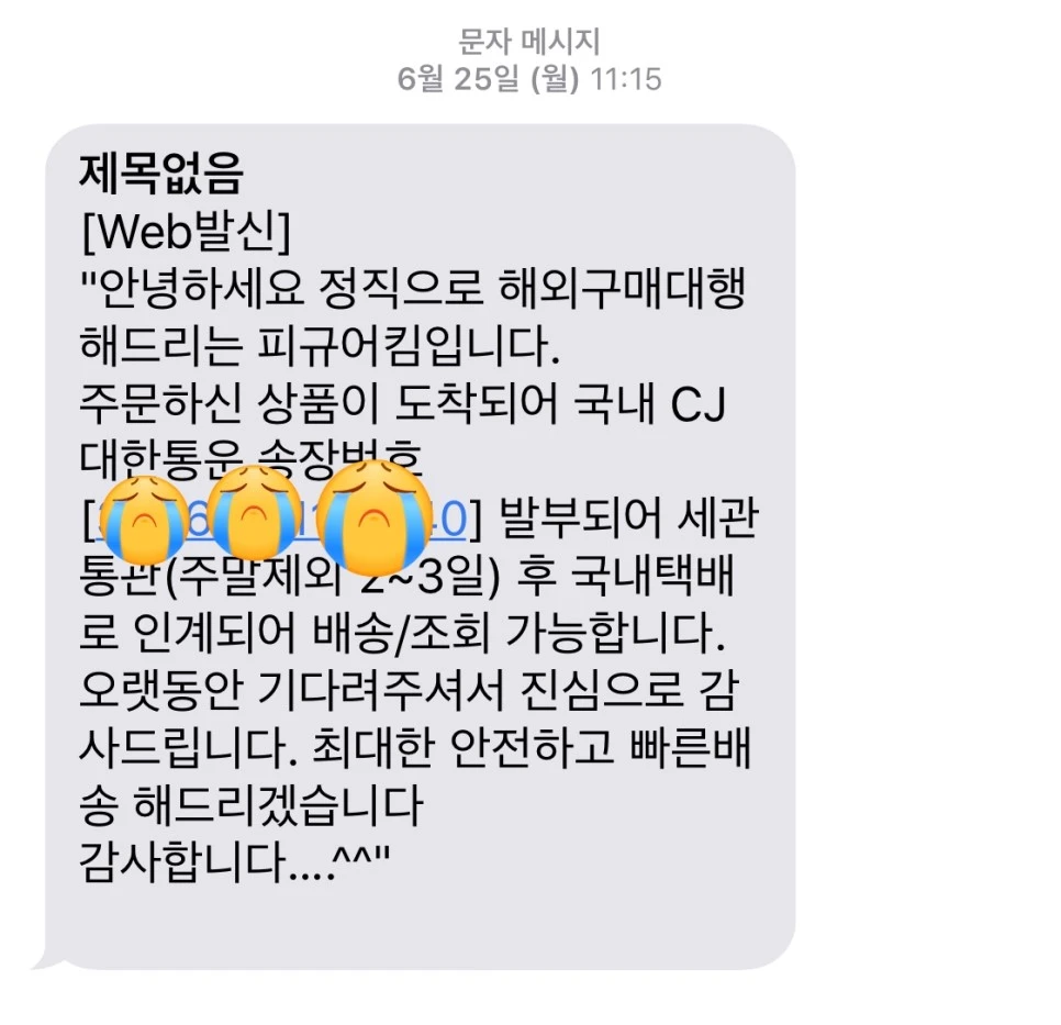 output_340059680.JPG?type=w966