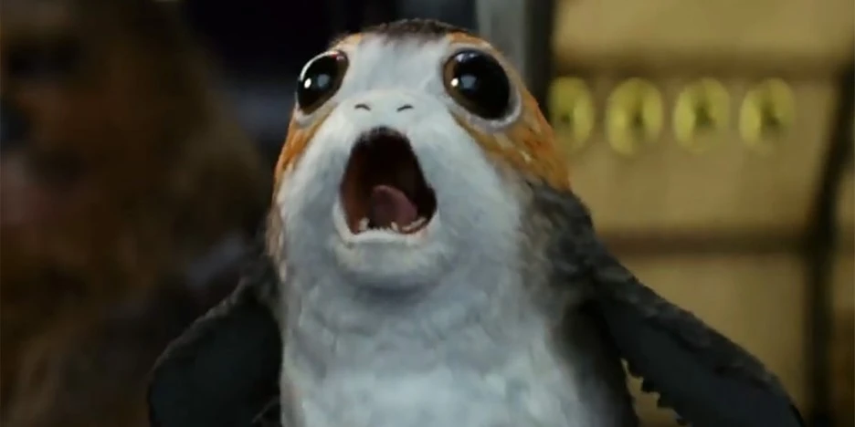 everything-we-know-about-porgs--the-penguin-like-creatures-from-star-wars-the-last-jedi.jpg?type=w1