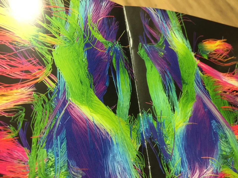 IMG_2326.JPG?type=w1