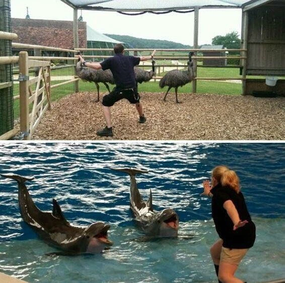 NaverBlog_20150620_004402_16.jpg?type=w1