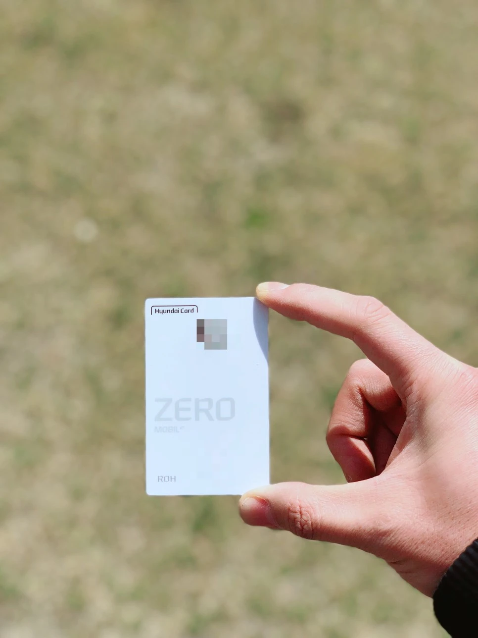 output_4202702095.JPG?type=w966