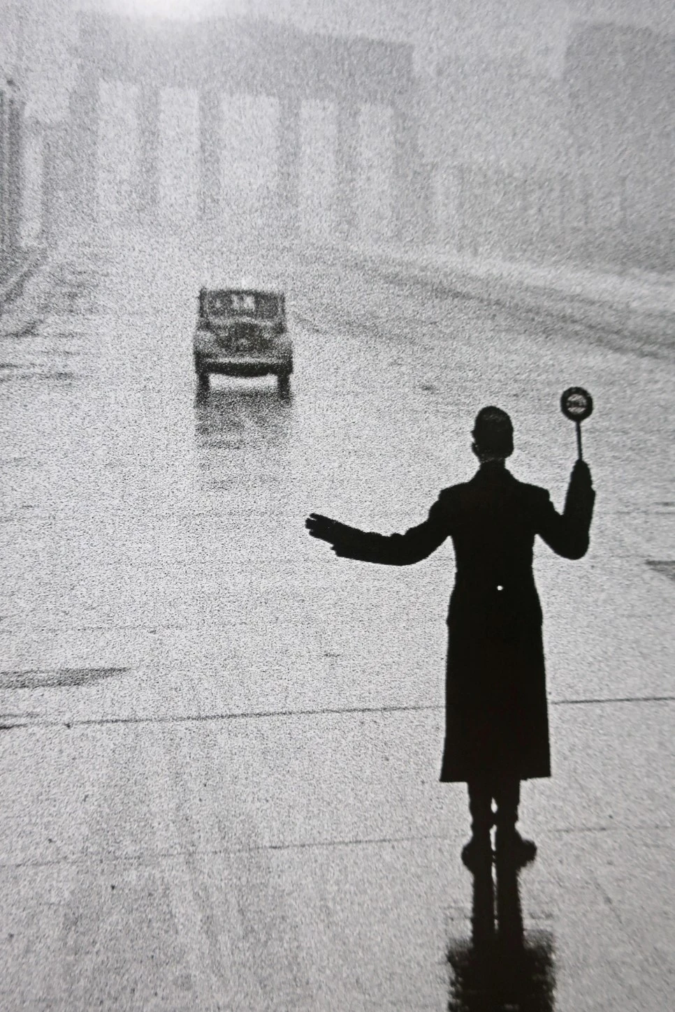 IMG_1164.JPG?type=w966