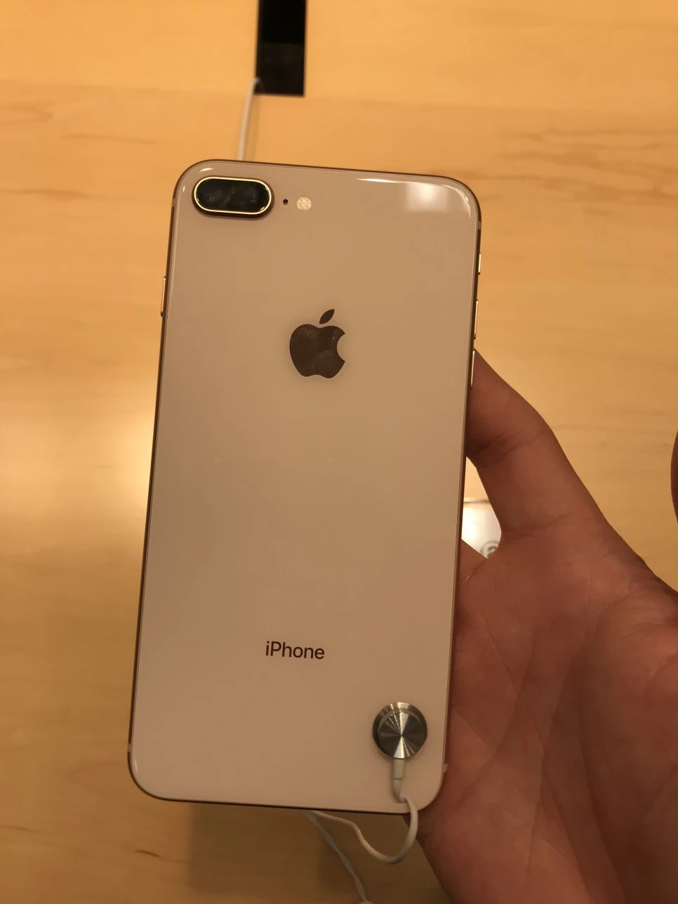 P20171103_182628287_00728885-FD5F-4AC6-AC1C-C66397D255E5.JPG?type=w966