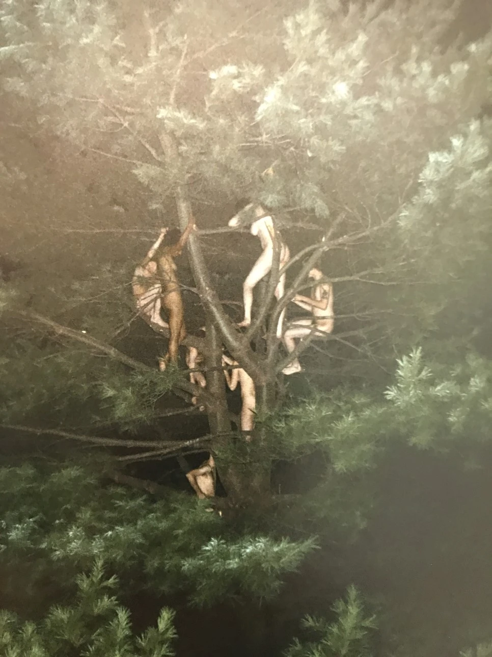 IMG_3982.JPG?type=w966