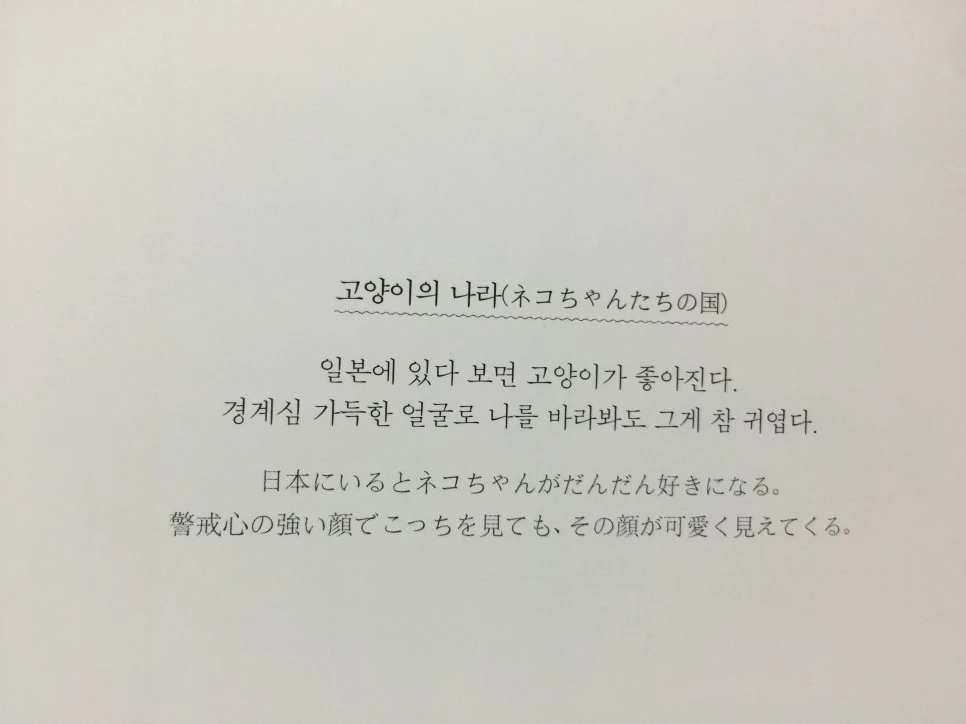 attachImage_3017064479.jpeg?type=w966