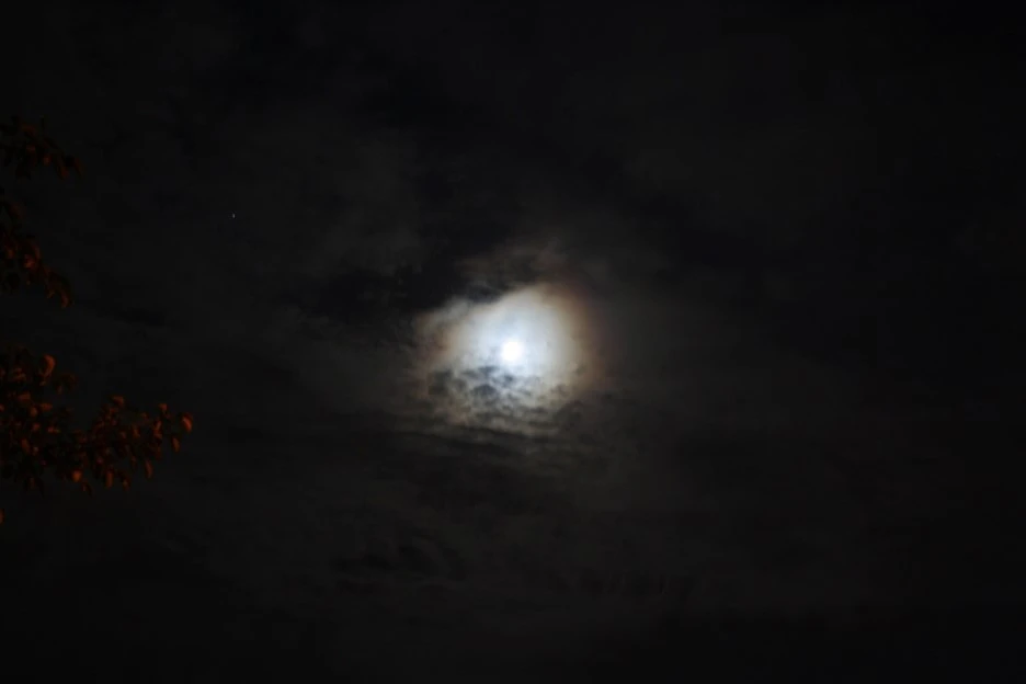 NaverBlog_20150531_020706_07.jpg?type=w1