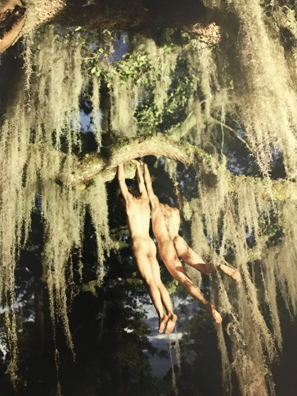 IMG_5928.JPG?type=w966