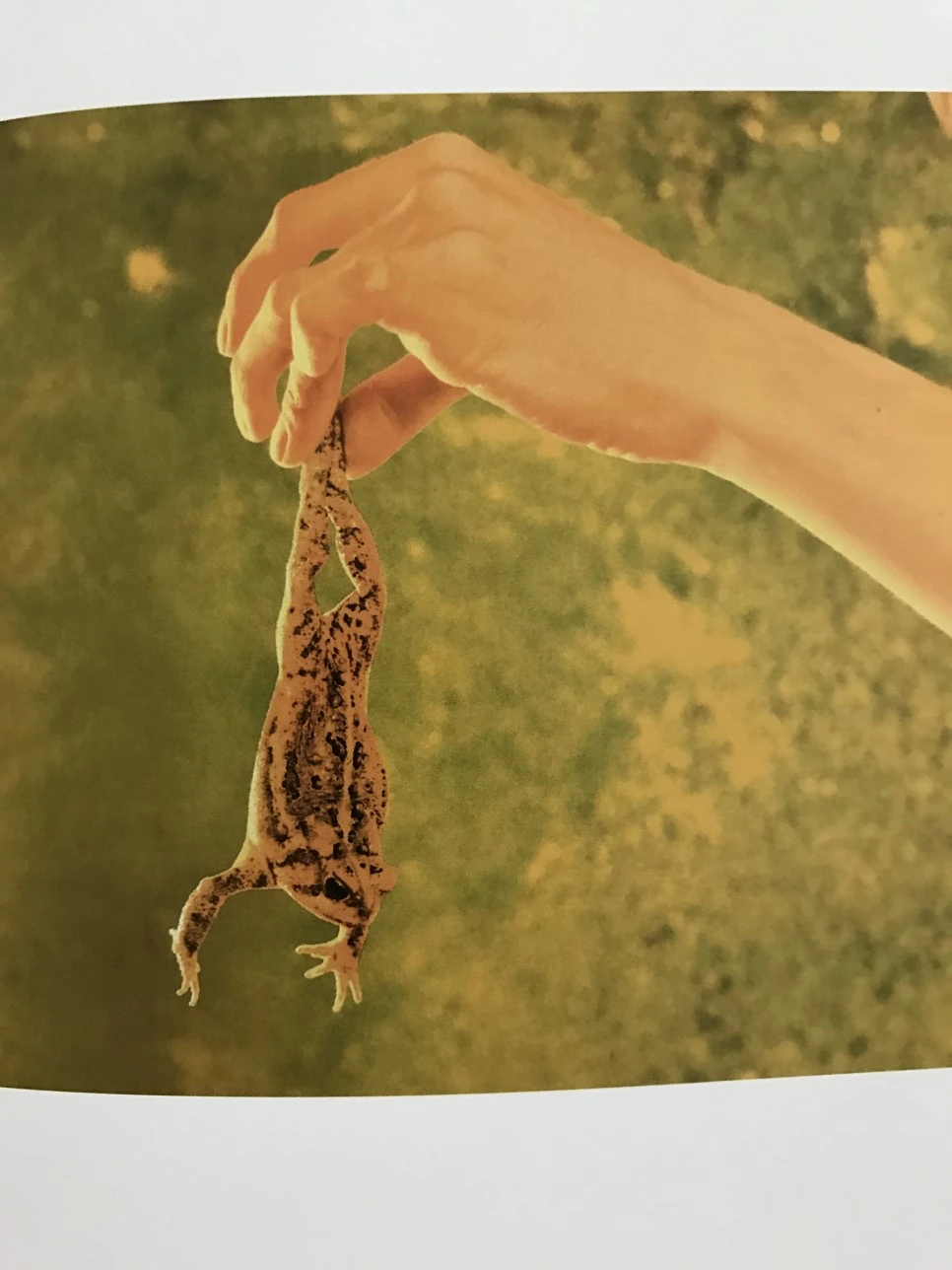 IMG_4031.JPG?type=w966