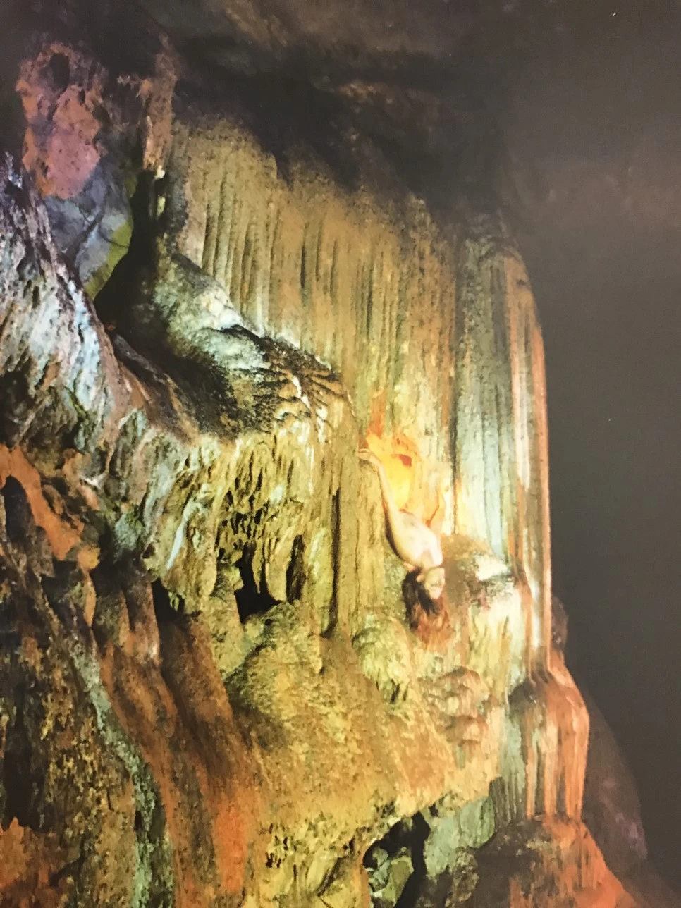 IMG_4032.JPG?type=w966