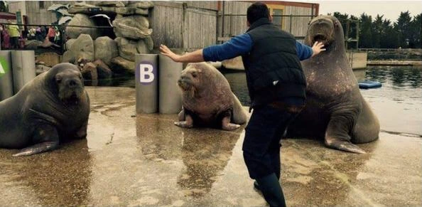 NaverBlog_20150620_004359_09.jpg?type=w1