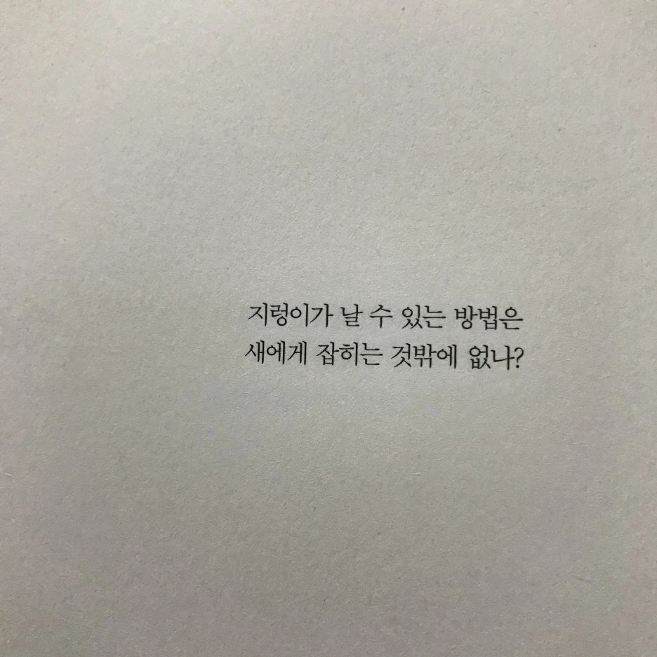 P20170201_234428088_49C53AE1-A237-4E08-9E15-0A810F5A2C33.JPG?type=w1