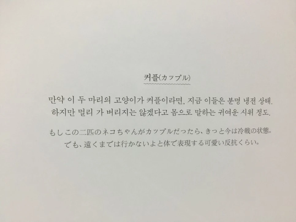 attachImage_2652580382.jpeg?type=w966